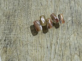 5月select(K)7,980円/全10種