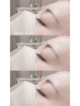 アイラッシュM/フラットラッシュCカール