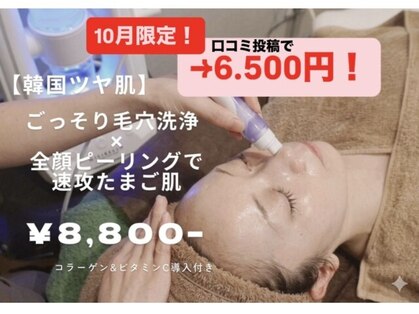テラ(terra.)の写真