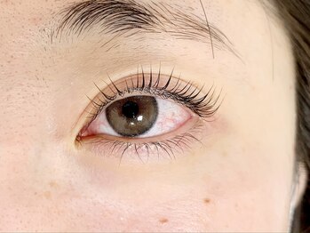 シック(Chic)/ラッシュリフト