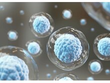 アマナプラーナ(Amana Praana)/