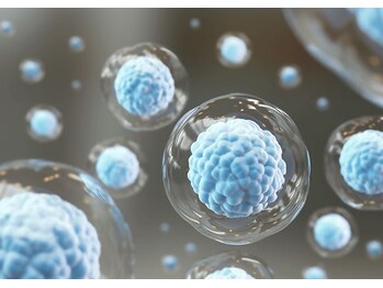 アマナプラーナ(Amana Praana)/