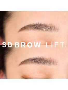 ラ ポルテ(La Porte)/3D BROW LIFT