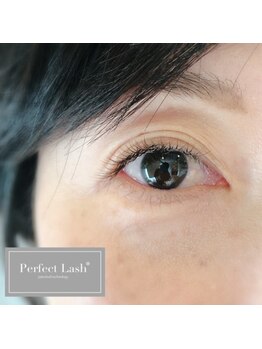 アンドウィンク(&Wink)/特許Perfectlash60ピース