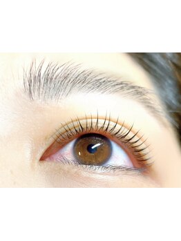 初めての方にオススメ