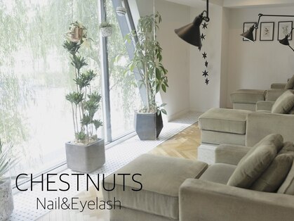 チェスナッツ 銀座(CHESTNUTS Nail&Eyelash)の写真