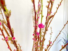 ナチュリガ/季節のお花