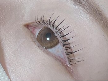 ココアイラッシュ(COCO Eyelash)の写真/根元からくるんとしたカールは水や湿気にも強くキープ力◎モチの良さにリピーター様続出★♪