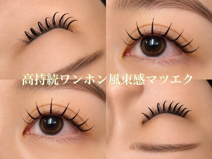 サンブルームラッシュ(SunBloomLush)の写真