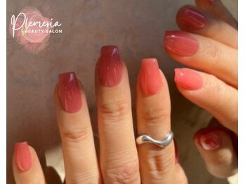 プルメリア(Plumeria)