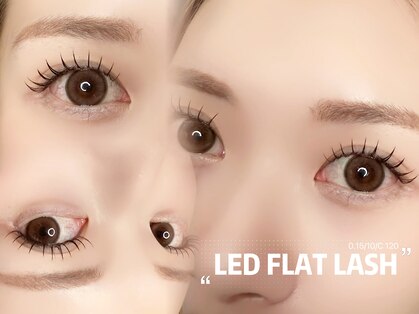 アイリス(eyeris)の写真