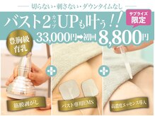 美人バスト 本厚木店