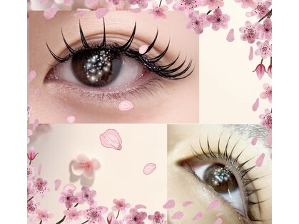 ラウレア(Laurea)の写真