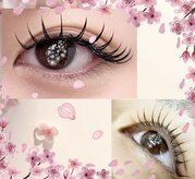 ラウレア(Laurea)