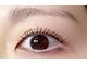 ネイルアンドアイラッシュ モアボーテ(Nail&Eyelash More Beaute)の写真/【大人女性に人気】エクステ派もまつパ派もやりすぎない「ナチュラルで上品」な目元へ♪