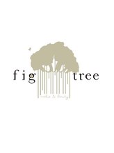 フィグ ツリー(fig tree) yuki.s 