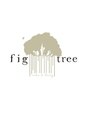 フィグ ツリー(fig tree) yuki.s
