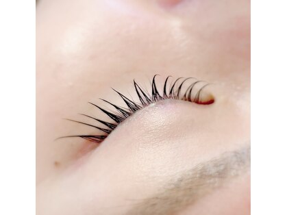 プルミエ ラムールの写真