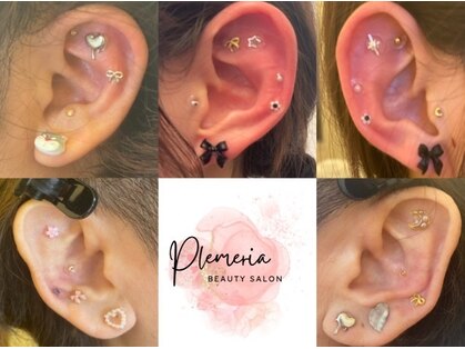 プルメリア(Plumeria)の写真