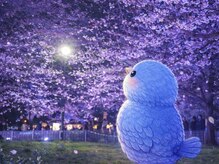 小鳥遊 タカナシ/