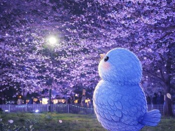 小鳥遊 タカナシ/