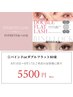 【8/16～8/17限定】バインドロックorダブルフラット80束5500円/新規オフ無料