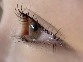 ダズル(DAZZLE)/LCカール