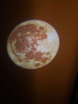 風冴(かぜさえ)/サロンの天井だよ