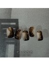 定額アートコース(7~9月)