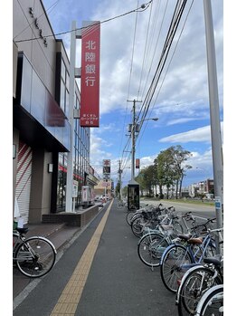 エデリー(Edely)/