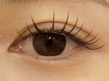 プラスエリマ 四日市(Plus Elima)/フラットラッシュ 四日市