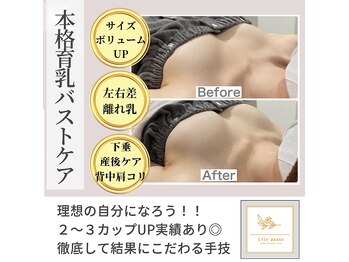 リリーパッソ(Lily passo)