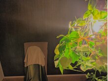 セイ(Sei)/じんわり温まるよもぎ蒸し