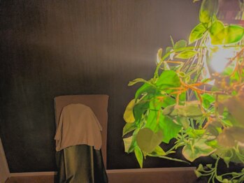 セイ(Sei)/じんわり温まるよもぎ蒸し