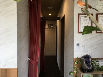 スマイル(Smile)/廊下の様子 No1