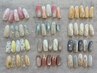 【Foot】季節限定*夏・Summer Nail 6400円 【新規・再来】