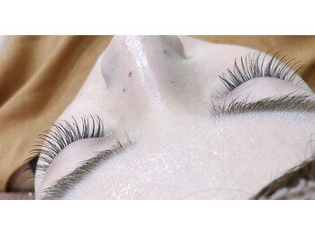 シルフ 石橋店(Sylph)/Dカール、140本