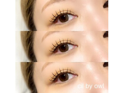 シル バイ オウル(cil by owl)の写真