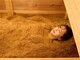 ビューティー ロッジ(Beauty lodge)の写真/【手ぶらで来店OK！酵素浴メニューがついにスタート★】身体の内側から温めて美肌効果＆お悩み改善◎