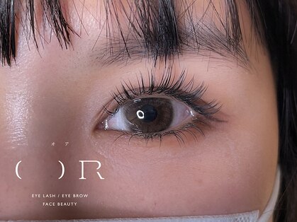 オア(OR)の写真