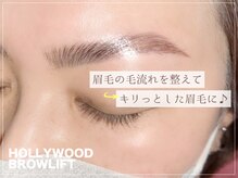 ビューティーサロン シュクレ大垣店(beauty salon shucre)/ハリウッドブロウリフト