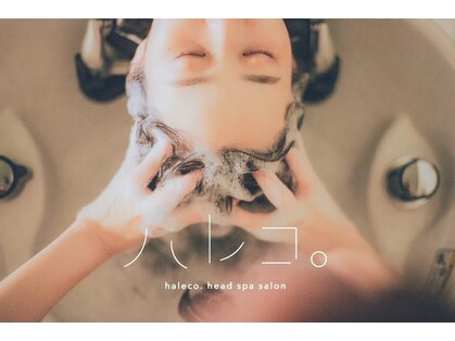 ハレコ。の写真