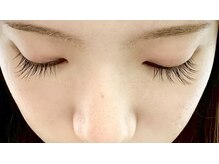 キャンプス(Camps)/セーブル80本