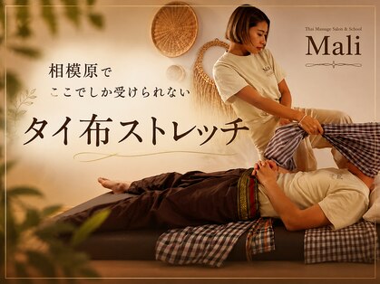 マリ 相模原(Mali)の写真