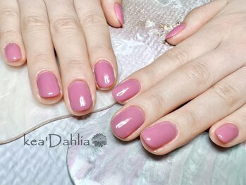 ケアダリア(kea’Dahlia)/ワンカラー【所沢/小手指】