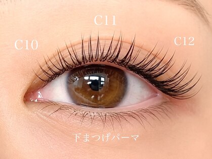 アンナボーテ(Anna beate)の写真