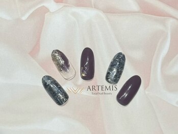 アルテミス(ARTEMIS)/ゴージャスコース