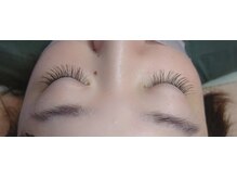 プラン アピ(plan api)/フラットラッシュ 120本