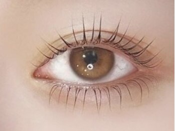 セレブヒルズ 大通店(Celeb Hill's)の写真/【まつげパーマ専門店】高技術でモチ◎今だけご新規様限定《まつパ(上)¥5500→¥3850》ナチュラルに美しく♪
