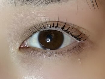 アトリエ ハーロウ(ATELIER HARLOW)/まつげパーマ/マツエク/眉毛